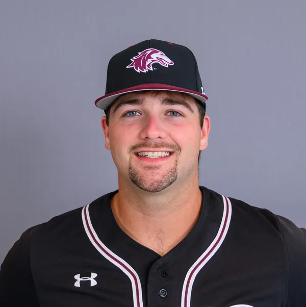 Gavan Wernsing, Baseball, Southern Illinois University