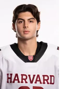 Salvatore Guzzo, Hockey, Harvard University