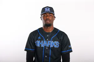 Xavier Pelzer, Baseball, undefined