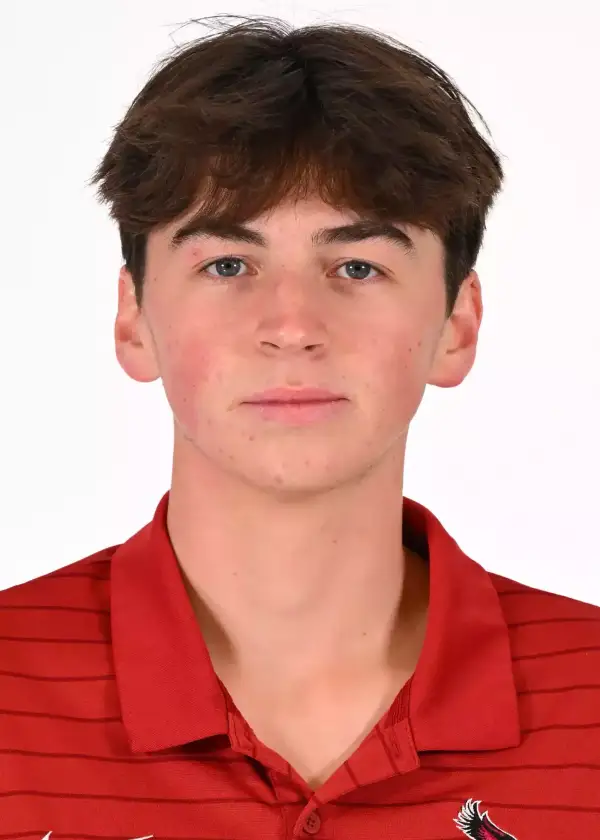 Michael Henry, Jr., Golf, Saint Joseph's University