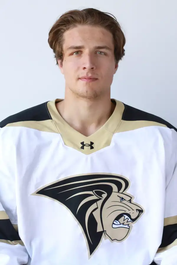 Kim Elfving, Hockey, Lindenwood University