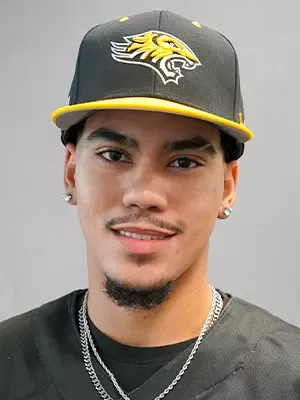 Yariel Rodriguez, Baseball, Towson University