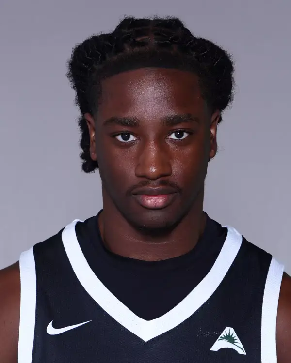 Jean-Ernest Boyomo Keedi, Basketball, Stetson University