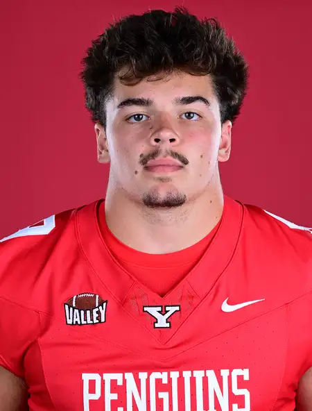 AJ Snyder, Football, Youngstown State University