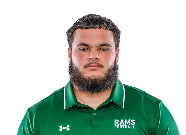 Cam Bariteau, Football, undefined