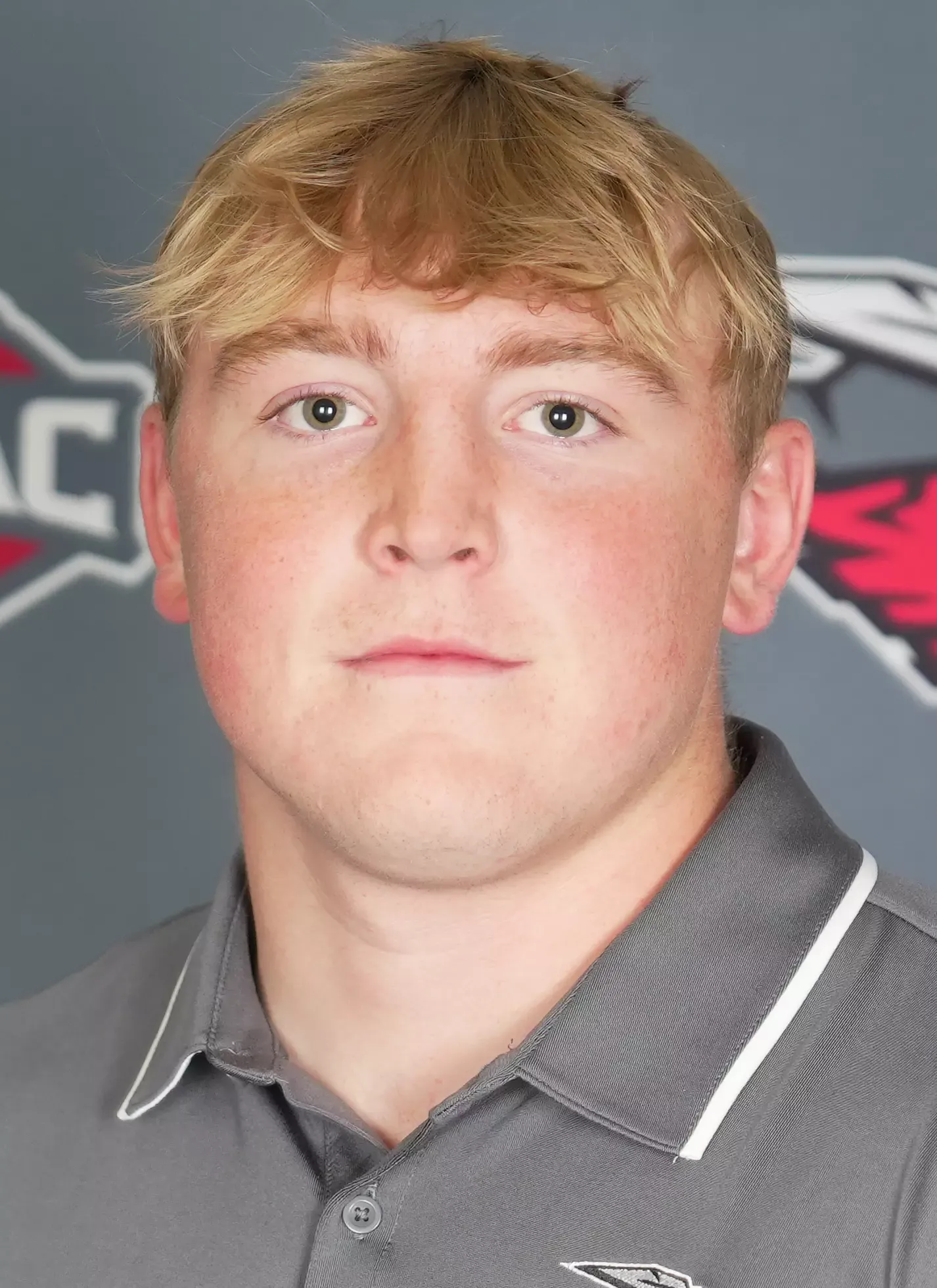 Drew Johnson, Football, undefined