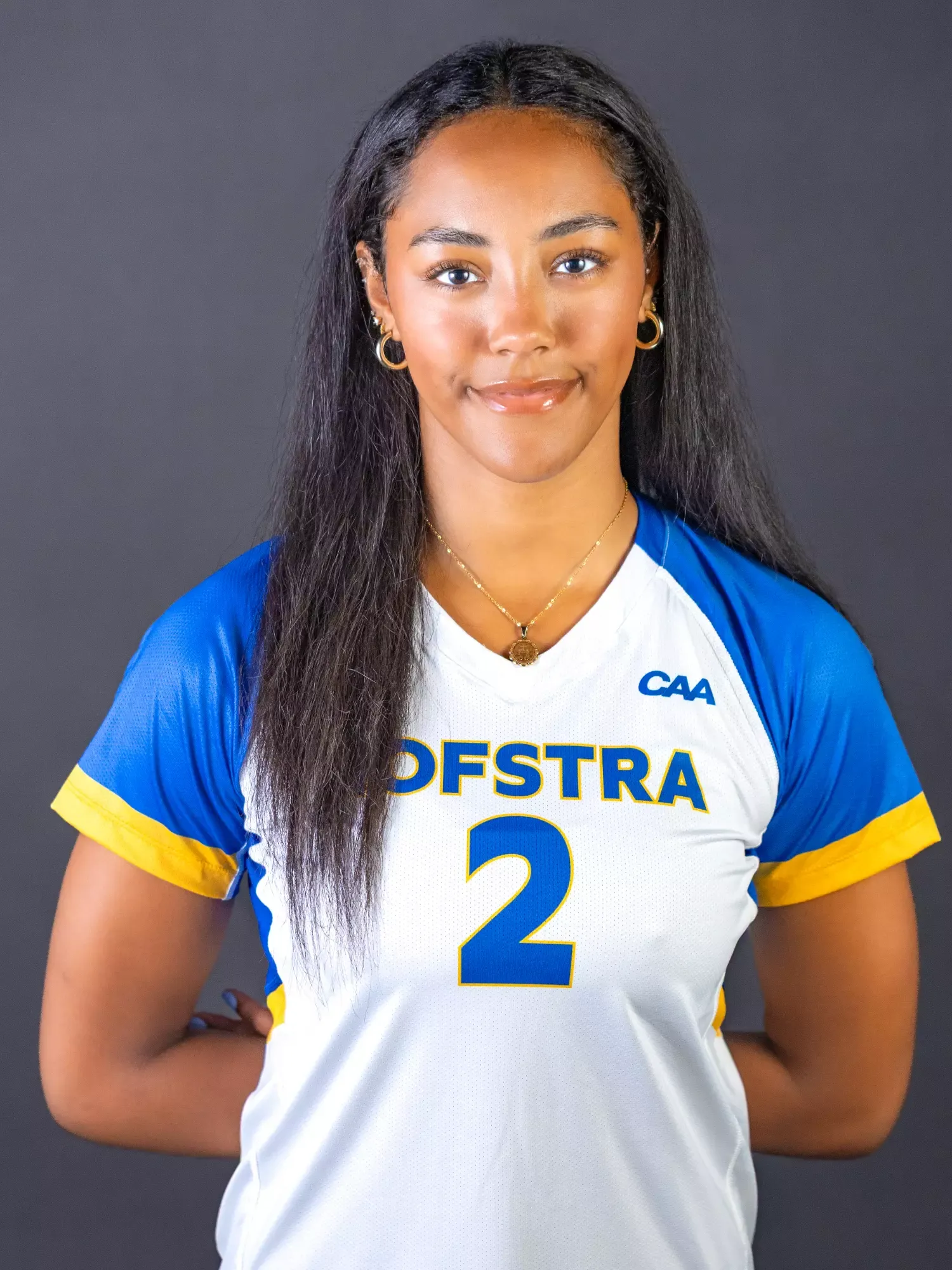 Dawn Pena, Volleyball, Hofstra University