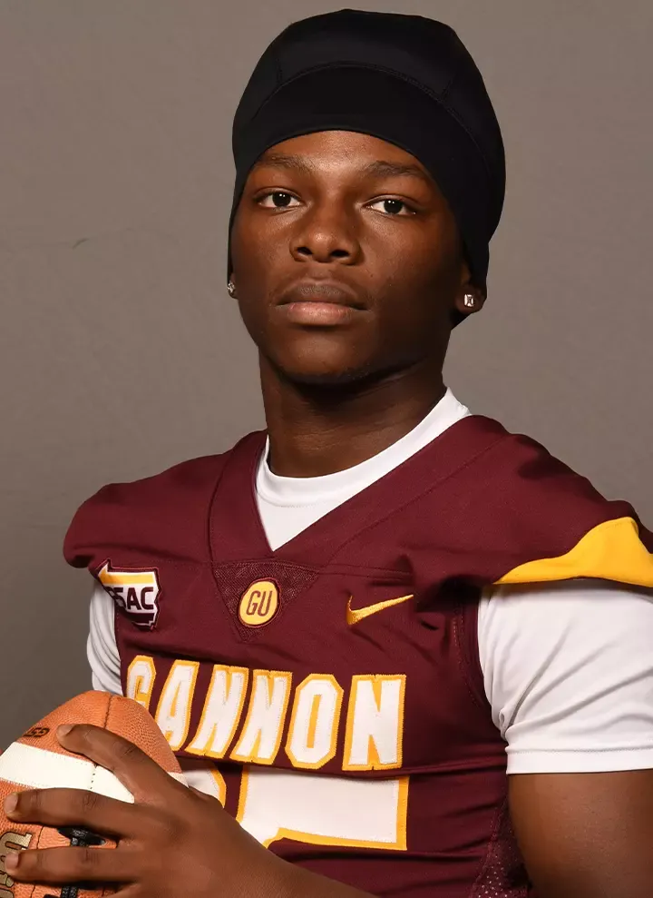 Zion Hauser, Football, Gannon University