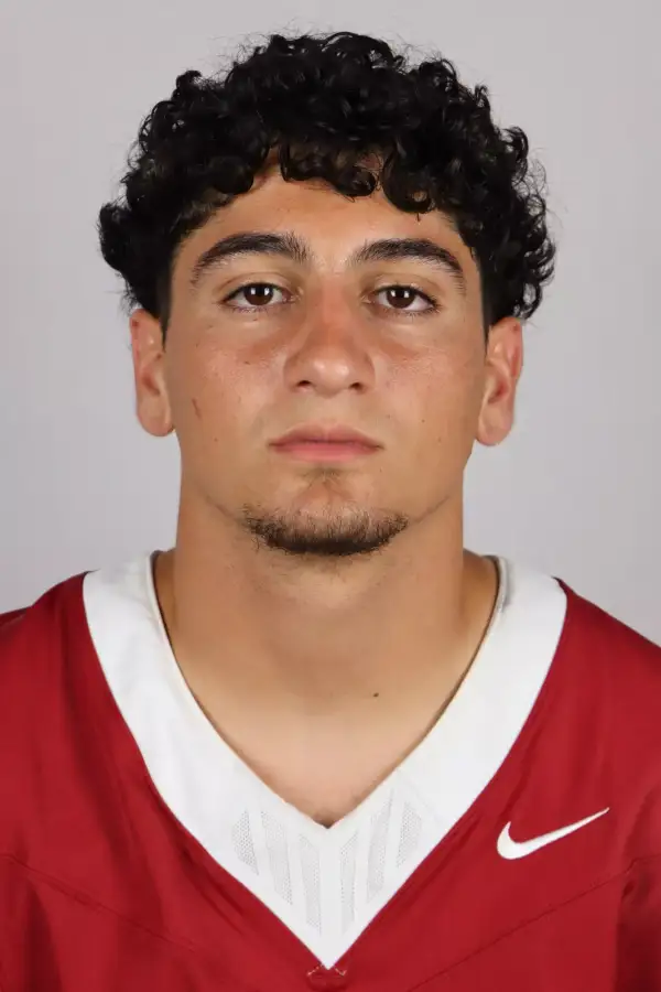 Daniel Scarabino, Football, Midwestern State University