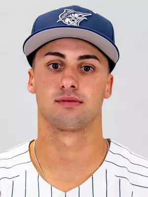Santi Scheele, Baseball, undefined