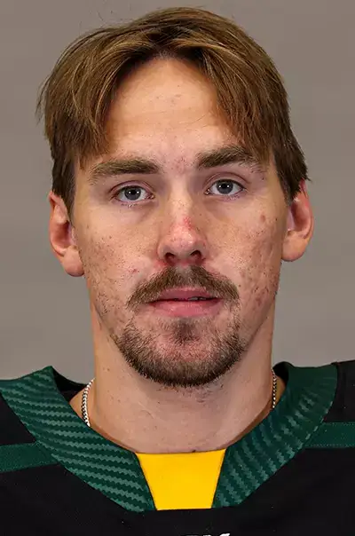 William Gramme, Hockey, University of Alaska Anchorage