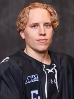 Oliver Salo, Hockey, undefined