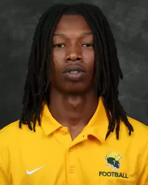 Taesean Young-Stieff, Football, undefined