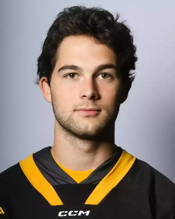 Tristan Delisle, Hockey, Michigan Tech University