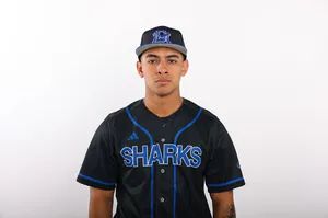 Jeffred Fermin, Baseball, undefined