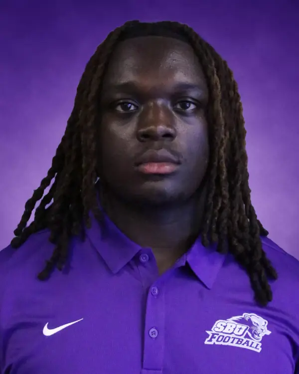 Ashton Haynes, Football, Southwest Baptist University