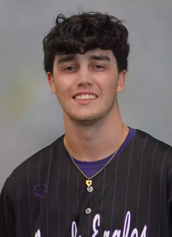 Tyler Johnston, Baseball, Niagara University