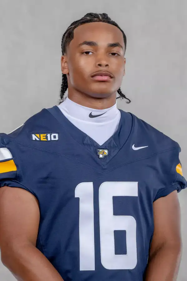 Derek Anderson, Football, Pace University