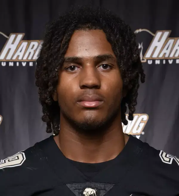 Dylan Robinson, Football, Harding University