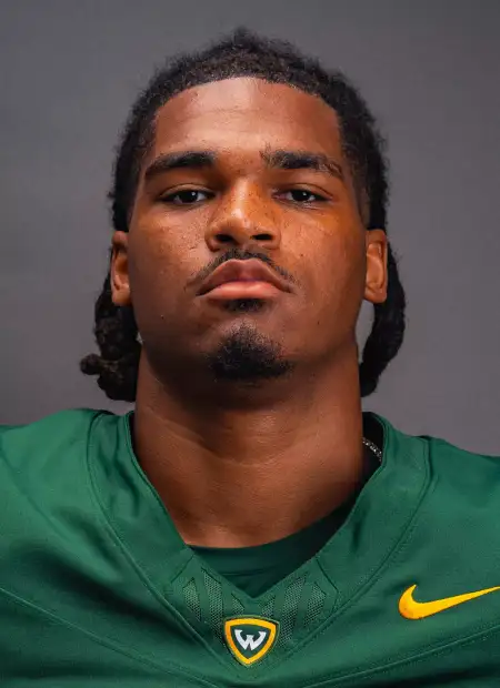 Blake Nelson, Football, Wayne State University
