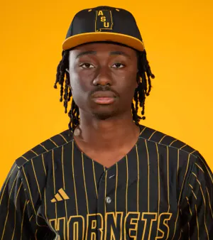 Ian Hillary, Baseball, undefined