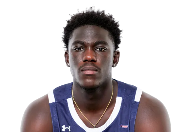 Ebo Wilson, Basketball, undefined