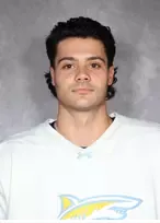 Anthony Lucarelli, Hockey, undefined