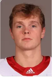 Nicholas Mikan, Hockey, undefined