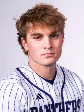 Ty Pankonin, Baseball, undefined