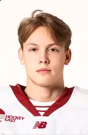 Oscar Hemming, Hockey, undefined