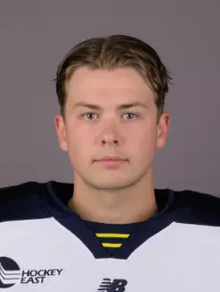 Max Lundgren, Hockey, undefined