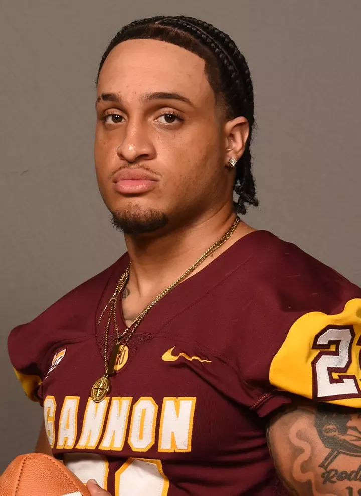 Darius Daily, Football, Gannon University