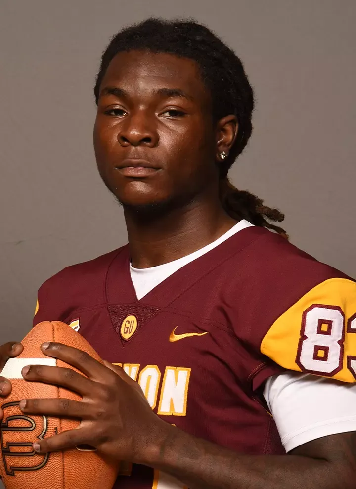 Chris Fulgham, Football, Gannon University
