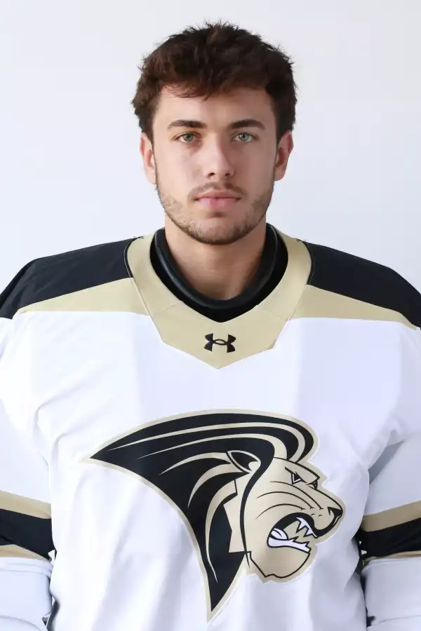 Cody Butikis, Hockey, Lindenwood University