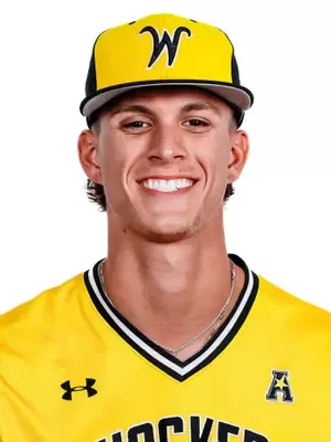 Nick Potter, Baseball, undefined