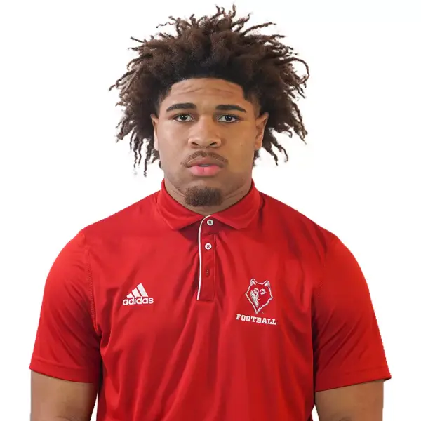 Landon Mapson, Football, Newberry College