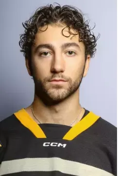 Michael Cicek, Hockey, undefined