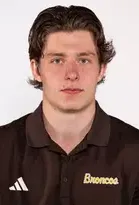 Iiro Hakkarainen, Hockey, undefined