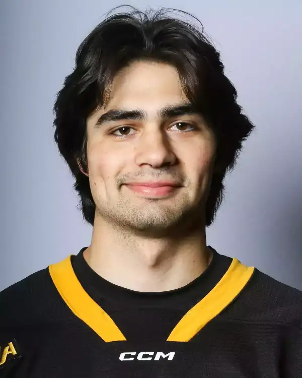 Austin Moline, Hockey, Michigan Tech University