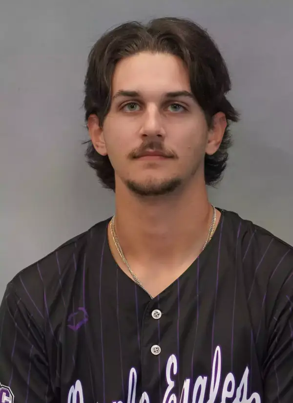 Andrew Damiani, Baseball, Niagara University