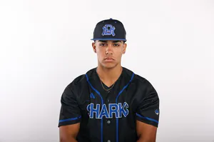 Leamsi Montanez, Baseball, undefined