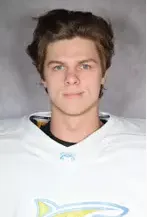 Michael Polston, Hockey, undefined