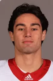 Kocha Delic, Hockey, undefined