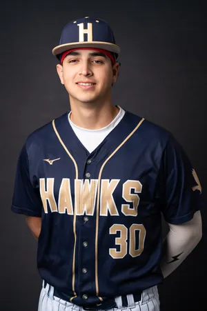David Freitas, Baseball, undefined