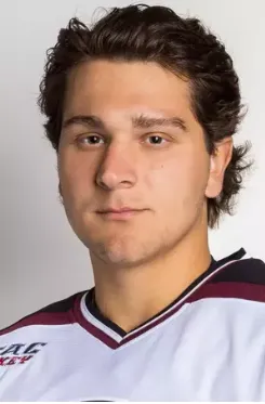 Nick Young, Hockey, Union College