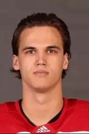 Raimonds Vitolins, Hockey, undefined