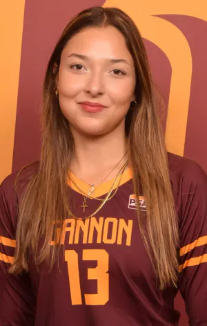 Nehir Yazicioglu, Volleyball, Gannon University