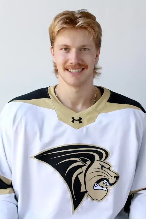 Andy Earl, Hockey, Lindenwood University