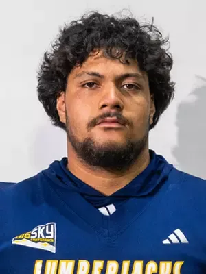 Dallas Fineanganofo, Football, undefined