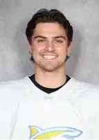 Heath Armstrong, Hockey, Long Island University